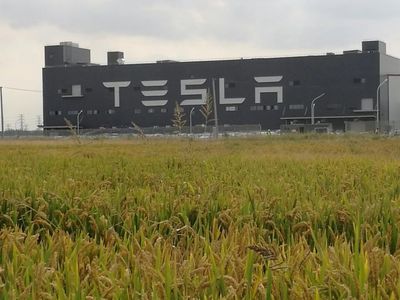 狼真來了！特斯拉上海工廠投產，國產Model 3下線，十個月創奇跡，三季度盈利——對中國新能源市場的深遠影響